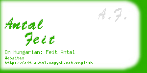 antal feit business card